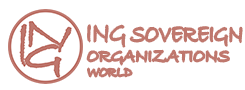 iNG INTERNATIONAL ORGANISATION